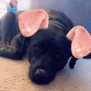 Meet your Posher, Alicia